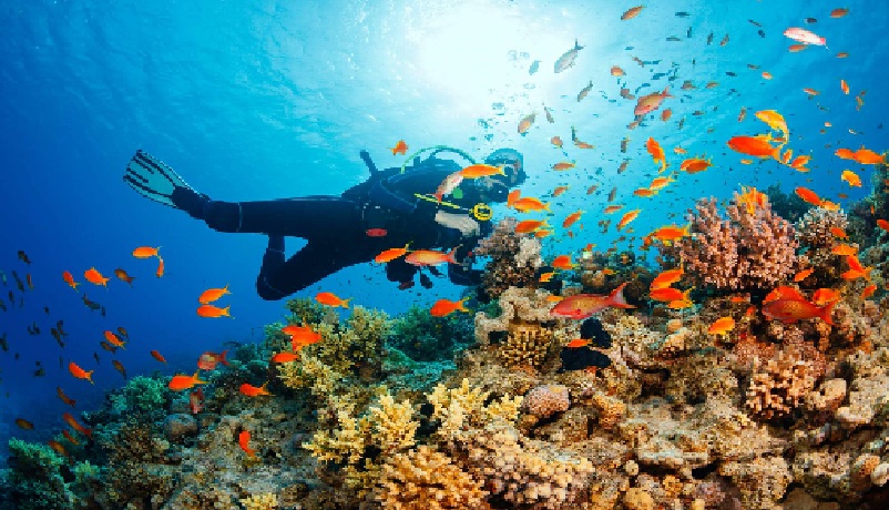 Underwater activities in Phu Quoc