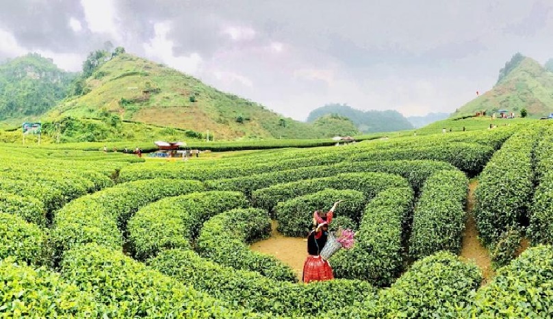 Moc Chau Plateau Tour